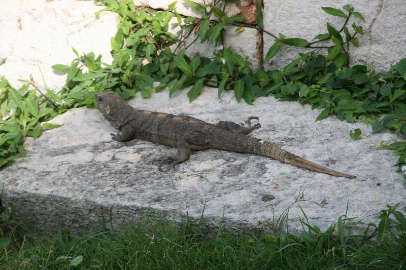 Mexico & Guatemala 2010 - 0154